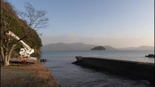 2024年94年属狗女运势及运程